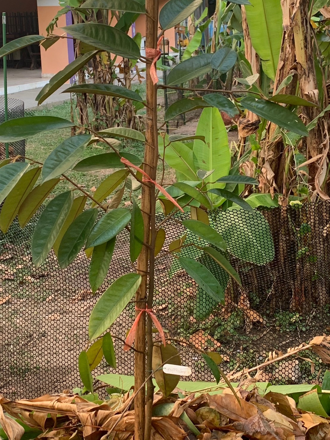 image8