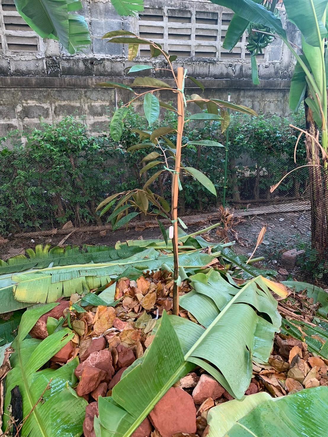 image13